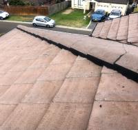 Sunny Roof Painters Pty Ltd image 1